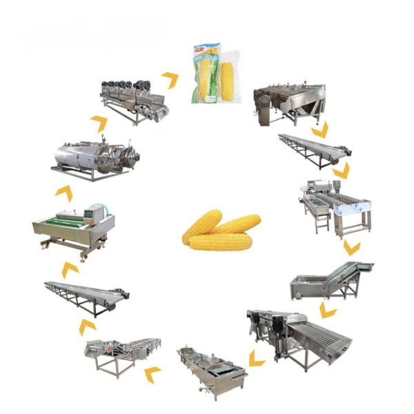 The world's popular multi-functional sweet corn production line/corn husking machine