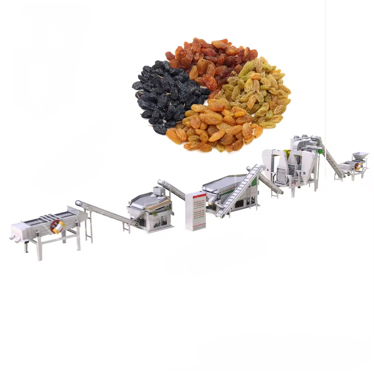 Custom-made complete set of dry grapes washing and drying machine/grape raisins processing machine production line