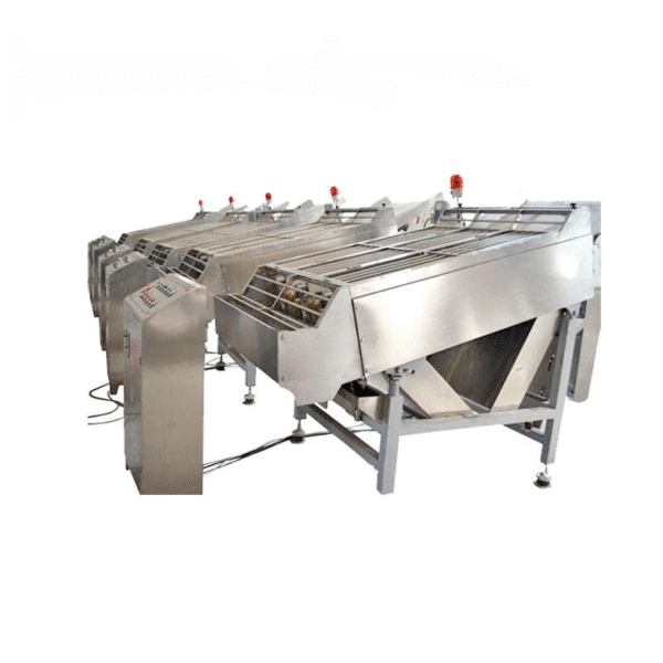 The world's popular multi-functional sweet corn production line/corn husking machine - Image 4