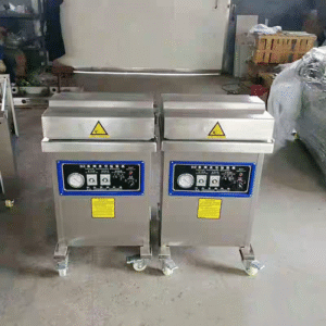 Single-chamber vacuum packaging machine