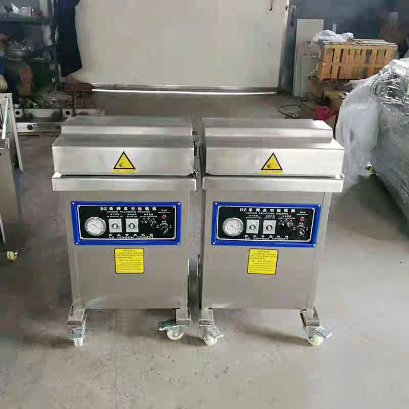 Single-chamber vacuum packaging machine
