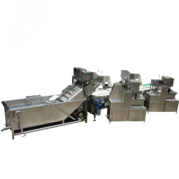 Custom-made complete set of dry grapes washing and drying machine/grape raisins processing machine production line - Image 4
