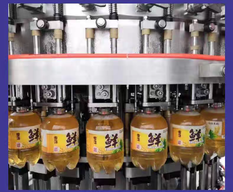 Processing Line of Plant Beverage and Protein Beverage