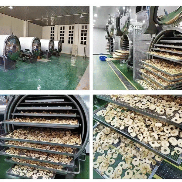 Vacuum freezing dry machine - صورة Vacuum freezing dry machine - صورة 4